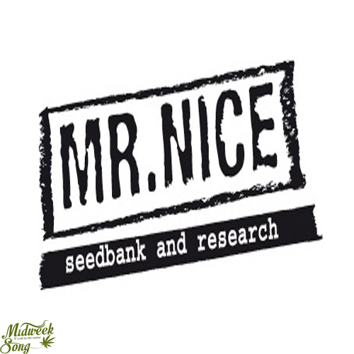 Mr. Nice Mr. Nice